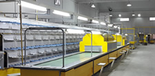 Fashion shoes Production For Pakistan customer